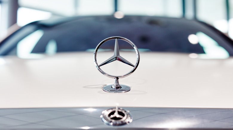 Mercedes emblem on hood