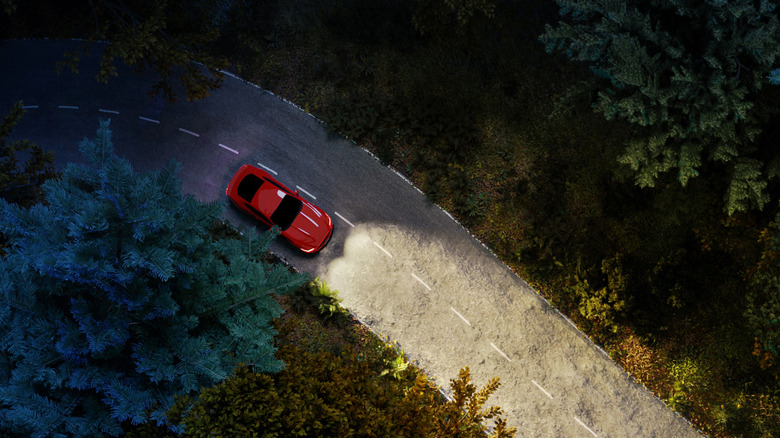 Road illuminated by car