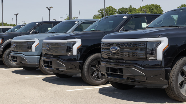 Multiple F-150 Lightnings lined up