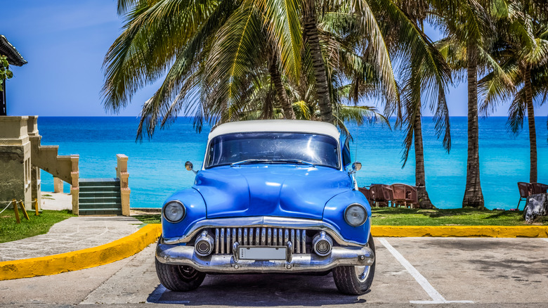 Blue classic Buick car parked under palms on the beach