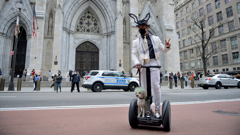 man and dog on segway
