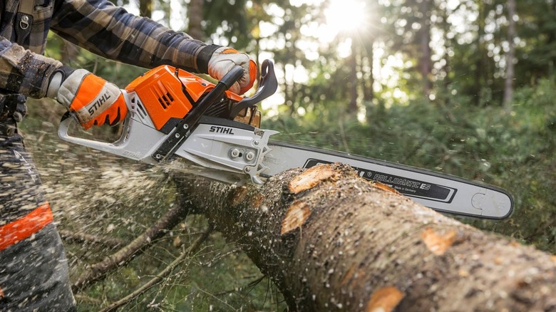 Person using a Stihl MS500i chainsaw to cut a fallen tree
