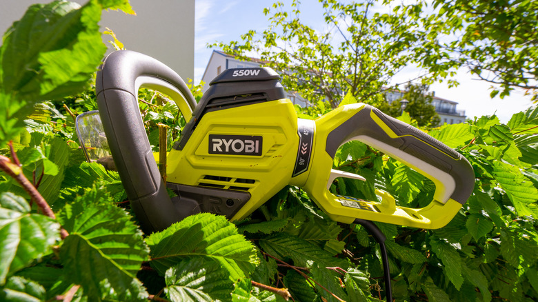 RYOBI hedge trimmer in use