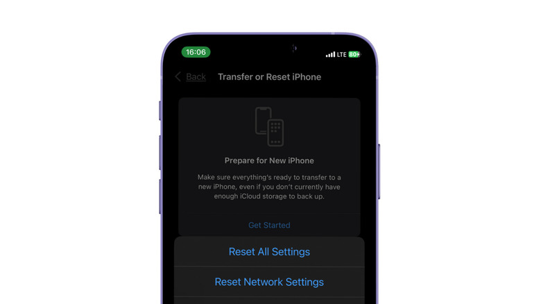 Screenshot of iPhone Reset settings