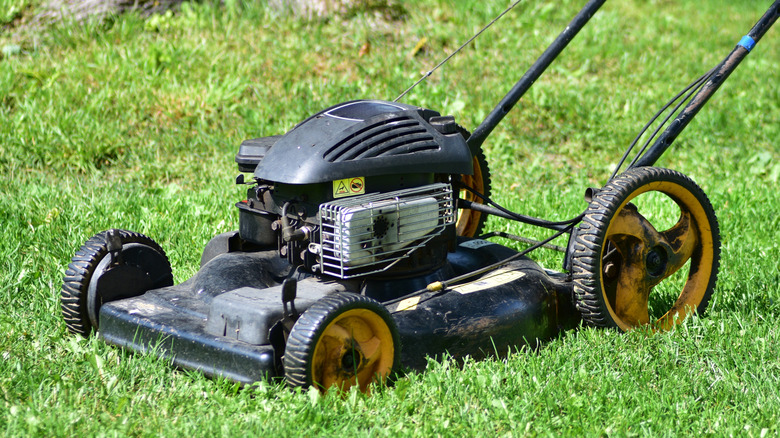A push lawn mower sitting in grass.