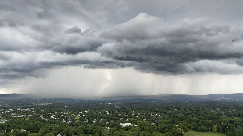 Storm clouds over trees and town