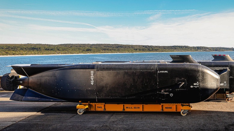 Several Anduril Ghost Shark UUVs lined up beside the water