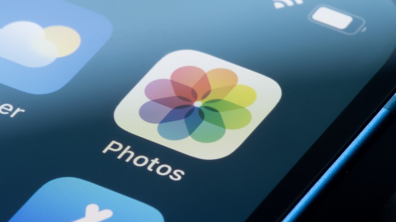 iPhone photos app icon