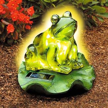 solar frog light