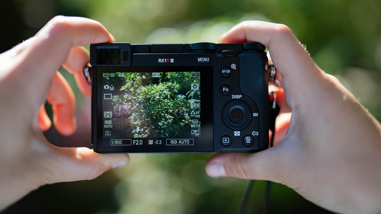 The Sony RX1R iii display and rear controls while in use taking a photo of a rhododendron.