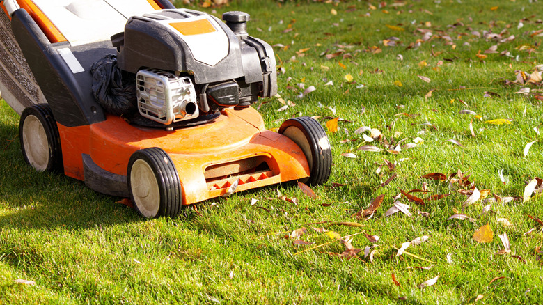Close up of a person mowing a lawn in fall.