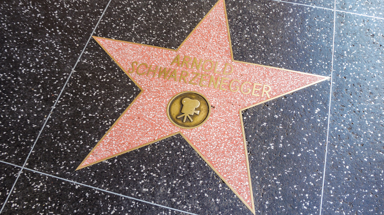 Arnold Hollywood star