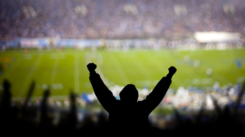 Football fan cheering in stadium