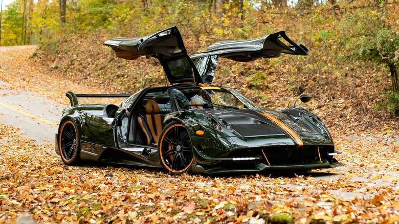 Pagani Huayra on leafy roaad