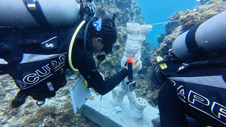 Researcher Bethany Dean attaches coral fragments to a sculpture (at 4:23)