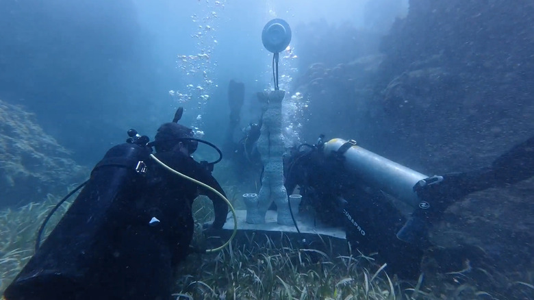 Divers near the underwater reef speakers in Jamaica (at 1:57)