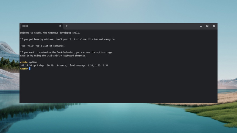 Uptime command in Crosh terminal