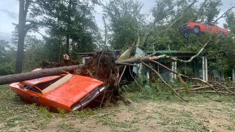 The General Lee under a tree blown down by Hurricane Ida