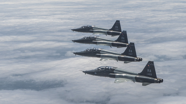 A squad of USAF T-38s fly in formation