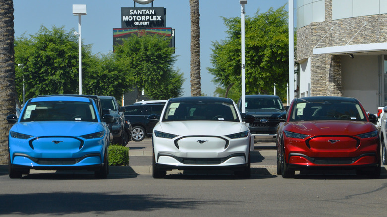 Front view of three Ford Mustang Mach E's  parked on dealer lot.