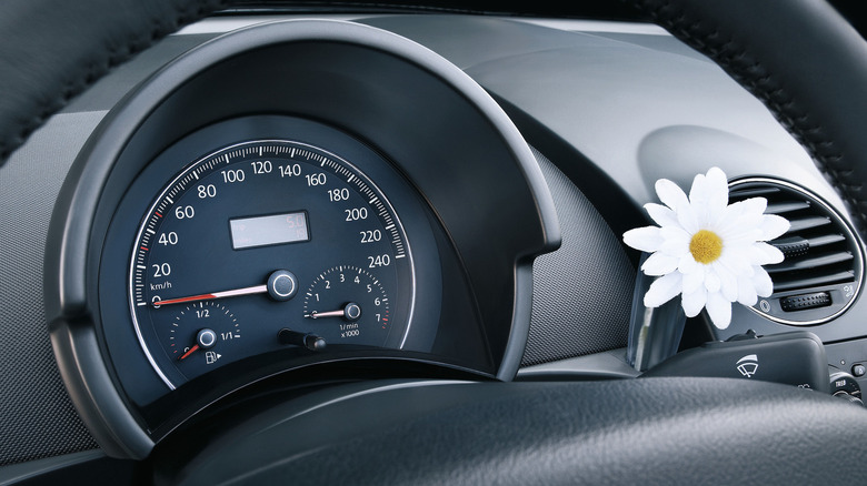 Flower vase on dashboard of Volkswagen New Beetle