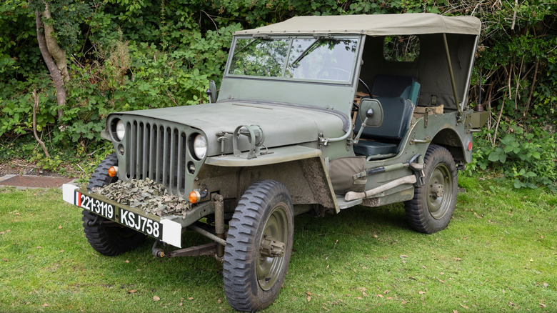 A World War II-era Army Jeep parked on grass near edge of forest