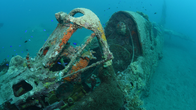 The cockpit of a Douglas SBD-4 Dauntless Dive Bomber plane wreck
