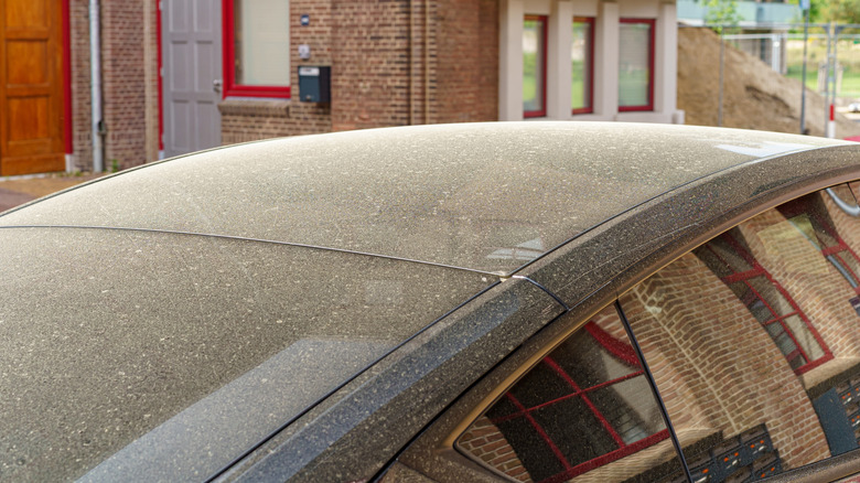 The roof of a car covered in a film of yellow pollen