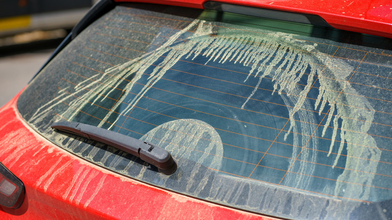 A car's rear glass panel and wiper covered in pollen