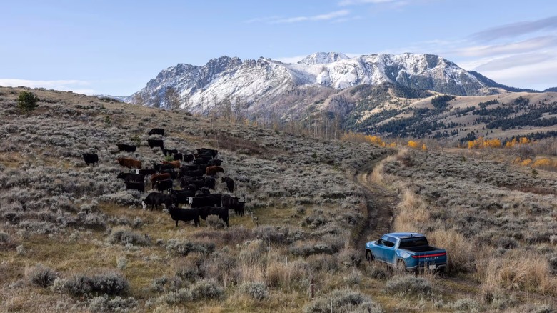 Rivian R1T driving off-road on hilly terrain