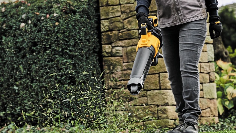 Person using DeWalt leaf blower