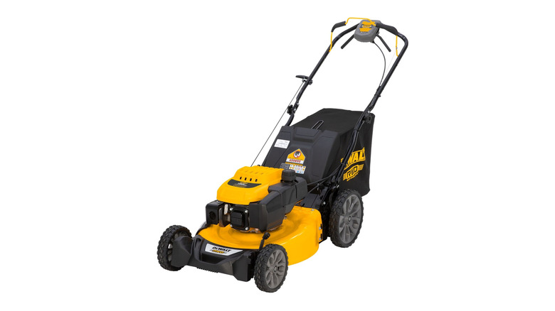 DeWalt self-propelled lawn mower on white background