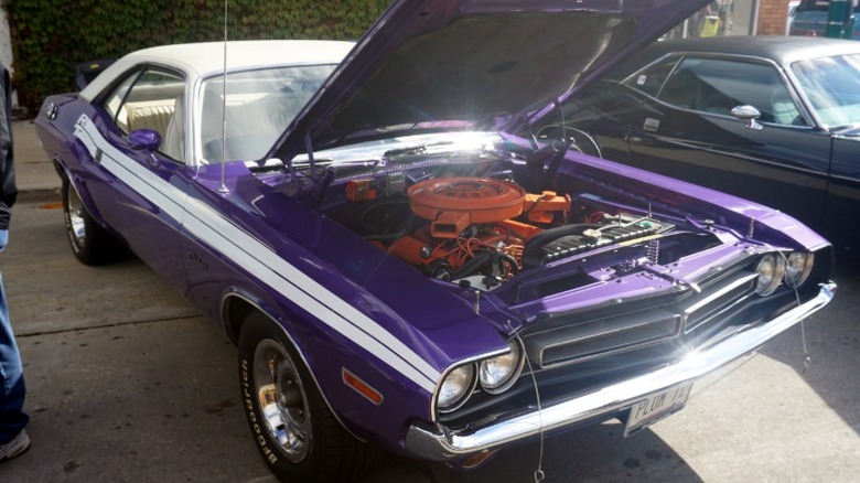 Purple and white 1971 Dodge Challenger R/T parked at an auto show with hood open