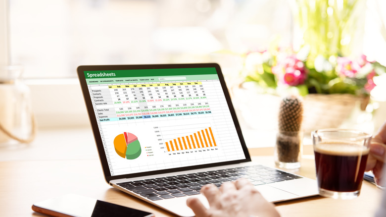 pie and graphs in spreadsheet on a laptop