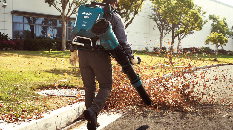 Person blowing leaves with a Makita 40V ConnectX backpack blower