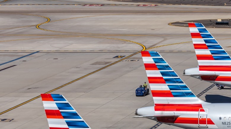 American Airlines Airbus A320 family jets parked at several gates