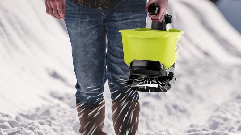 Person using a salt spreader