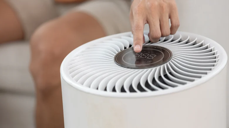 These Air Purifier Brands Earned Consumer Reports' Top-Ranked Spots