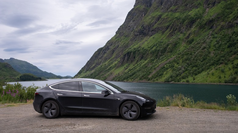 a Tesla Model X