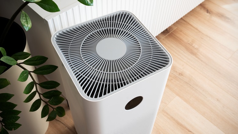 Air purifier under house plant