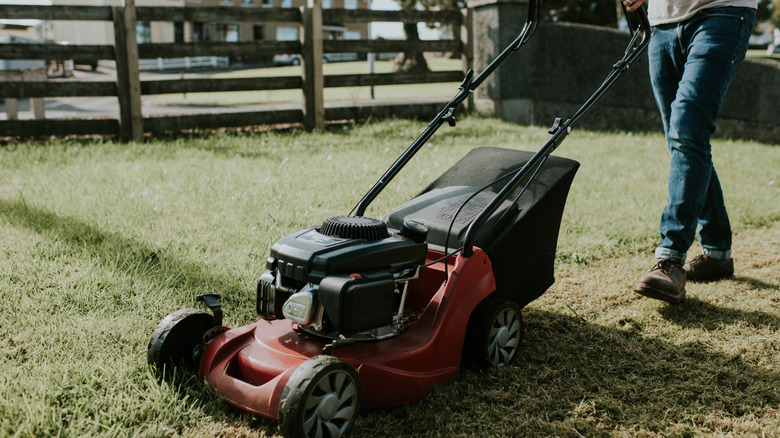 A man mowing the law in his garden with a push lawn mower.
