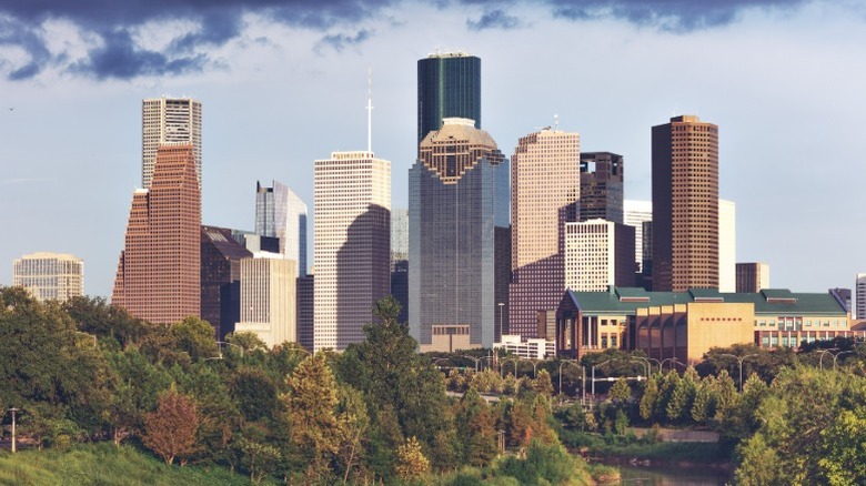 Downtown Houston, Texas skyline with trees in the foreground