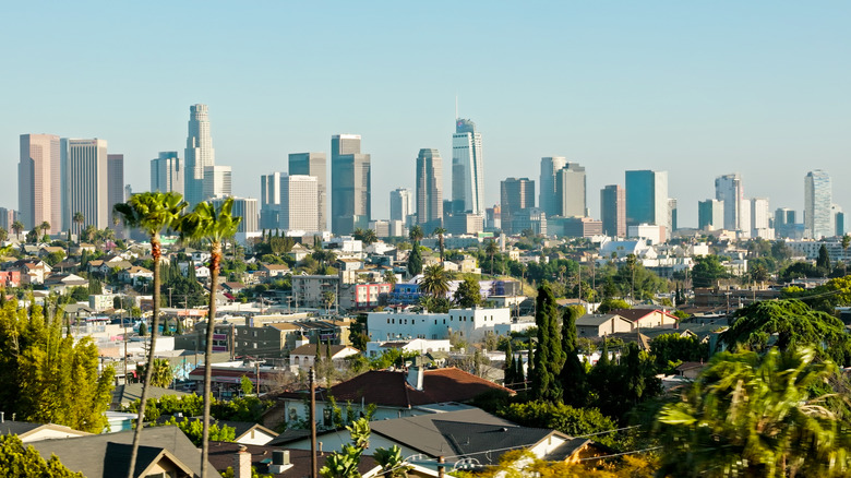 Los Angeles skyline with trees and low-rise buildings in the foreground
