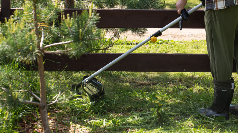 Homeowner cutting grass with a weed eater
