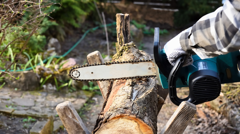 Using an electric chainsaw