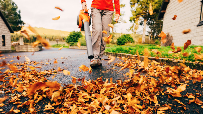 Woman using leaf blower on street