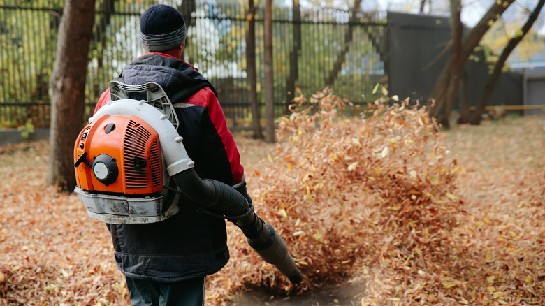 Professional uses gas powered leaf blower
