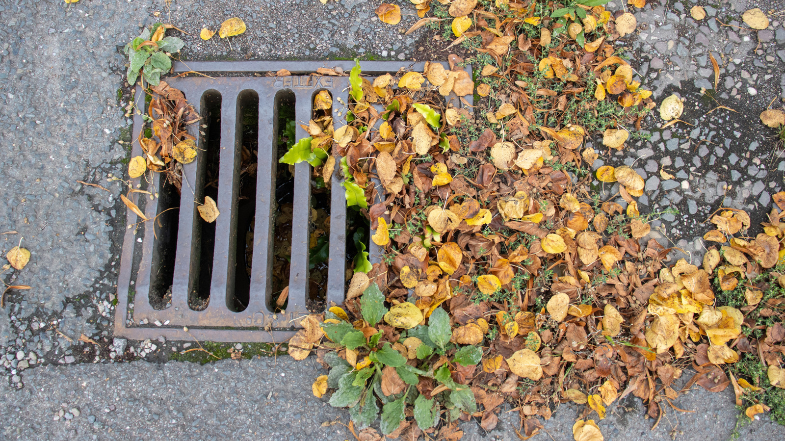 These Are The Tools You Need To Clear Drain Clogs The Right Way This Fall
