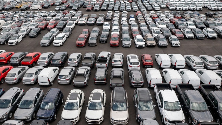 Rows of parked cars