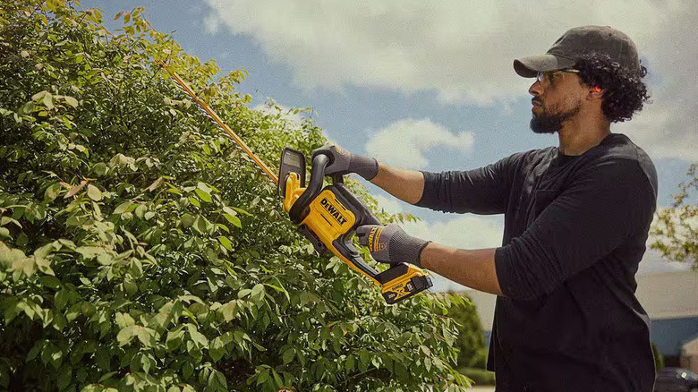 DeWalt hedge trimmer in use